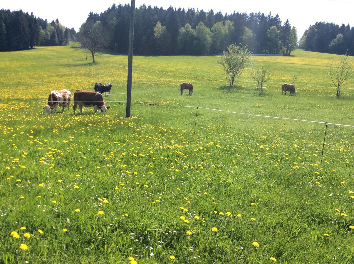 Ferienbauernhof Koller Villa Helfenberg Luaran gambar
