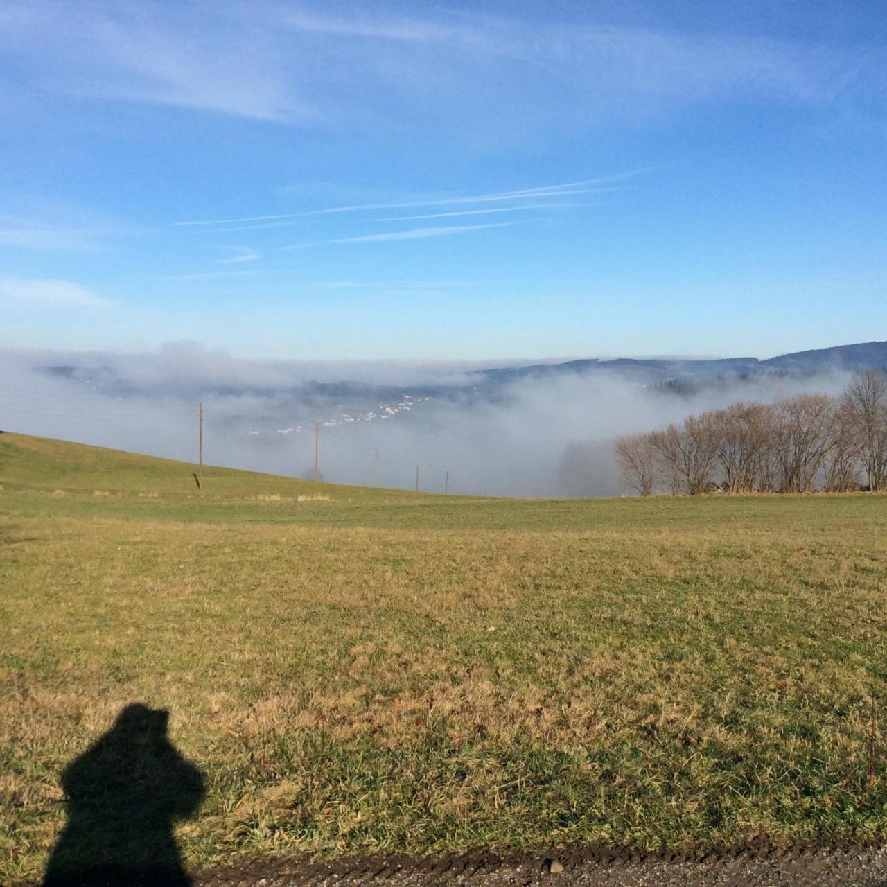 Ferienbauernhof Koller Villa Helfenberg Luaran gambar