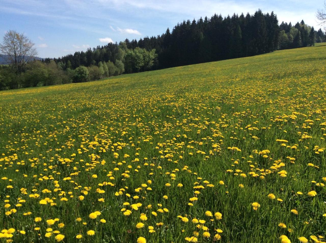 Ferienbauernhof Koller Villa Helfenberg Luaran gambar