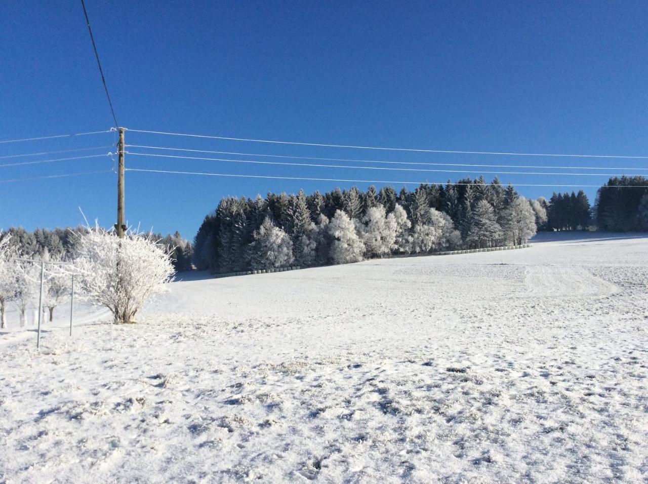 Ferienbauernhof Koller Villa Helfenberg Luaran gambar